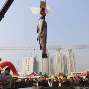 ���ݬF(xi��n)�����~�硱 ���ؙC(j��)����161���~�����