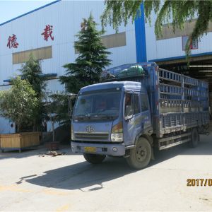 2017010123 ����� �քӆ������ؙC(j��)SLD2-8 2017-4-18