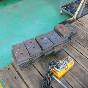 2018111102 ���������^